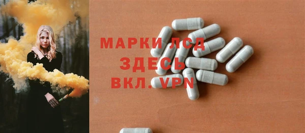 дживик Инта