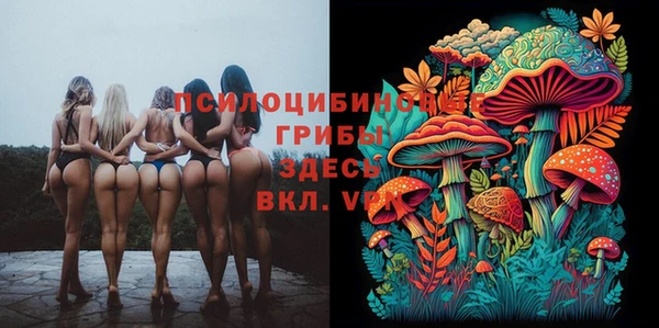 ГАЛЛЮЦИНОГЕННЫЕ ГРИБЫ Алексеевка
