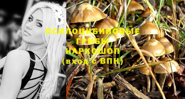 кокаин колумбия Алзамай