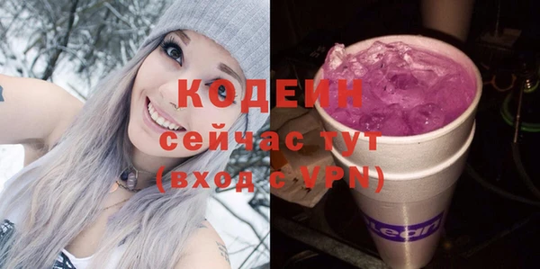 дмт Абаза