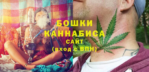 меф Ельня