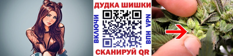наркошоп  Суджа  МАРИХУАНА Ganja 